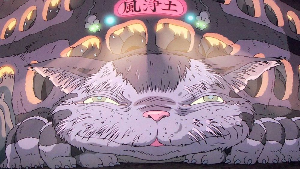 nekobus anziano.jpg nekobus anziano.jpg